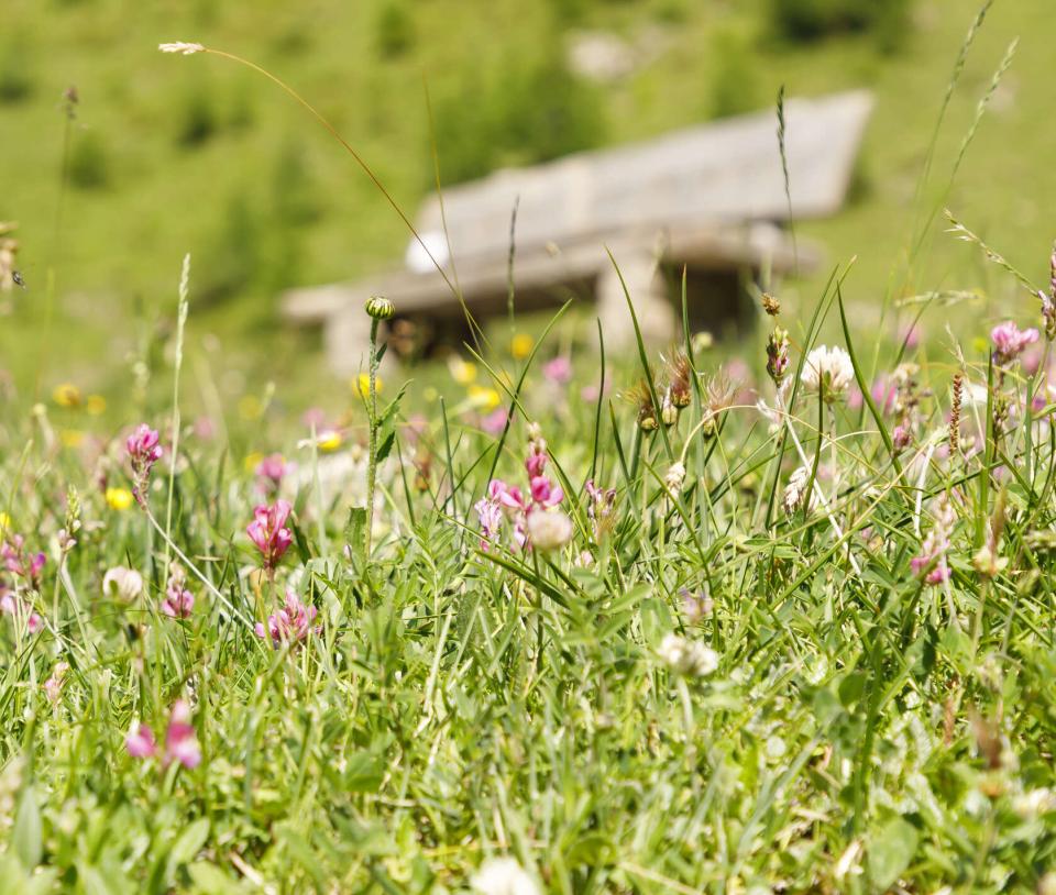 Hiking in Samnaun Hiking in Samnaun